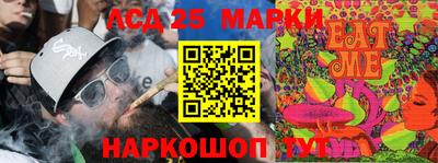 индика Кунгур