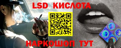 индика Кунгур
