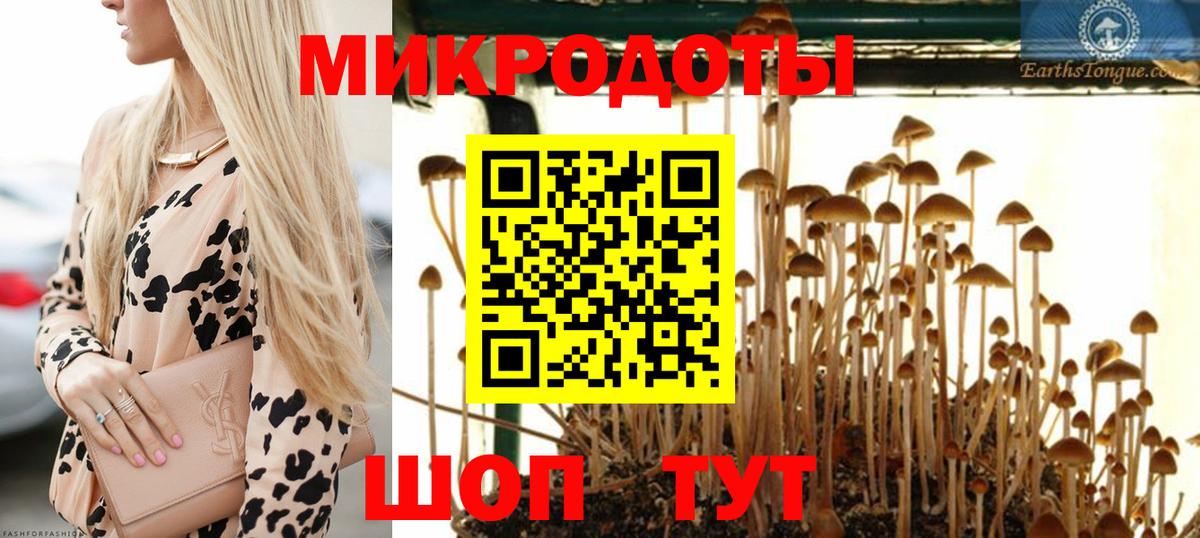 Псилоцибиновые грибы мухоморы  Вход с VPN  Джанкой 